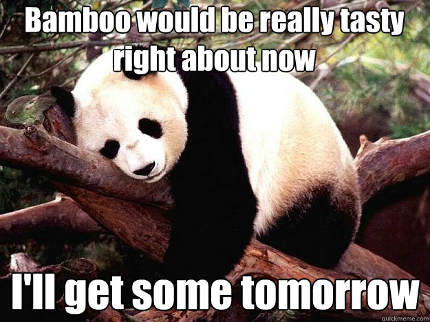 Bamboo would be really tasty  right about now I'll get some tomorrow  Procrastination Panda