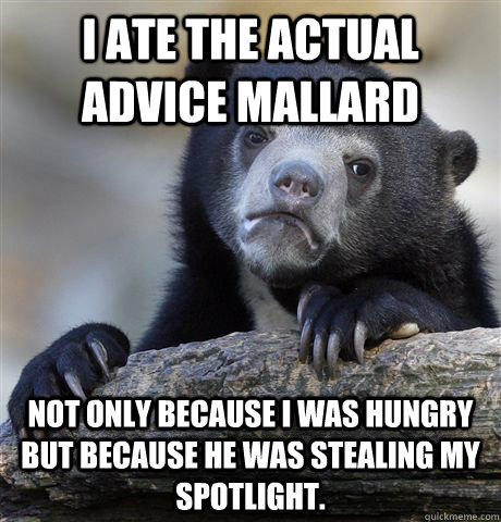 I ate the Actual Advice Mallard not only because I was hungry but because he was stealing my spotlight. - I ate the Actual Advice Mallard not only because I was hungry but because he was stealing my spotlight.  Confession Bear