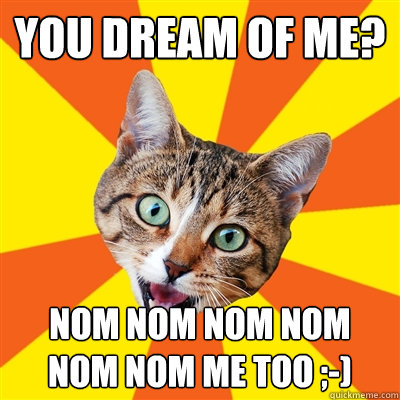 You DREAM OF ME? nom nom nom nom nom nom me too ;-)  Bad Advice Cat