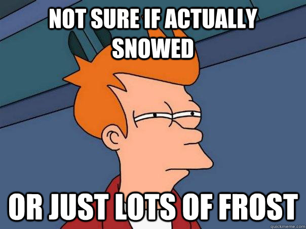 Not sure if actually snowed Or just lots of frost  Futurama Fry