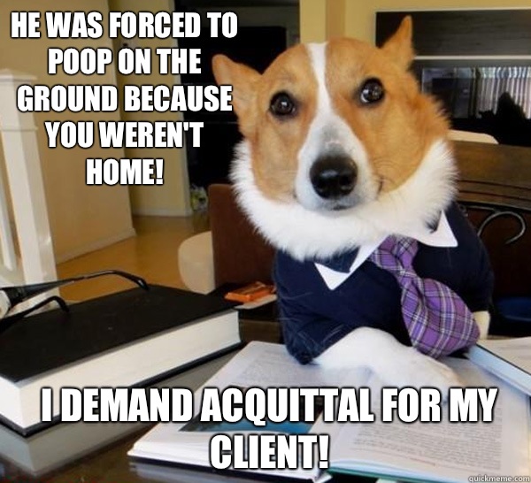 He was forced to poop on the ground because YOU weren't home! I demand acquittal for my client!  Lawyer Dog