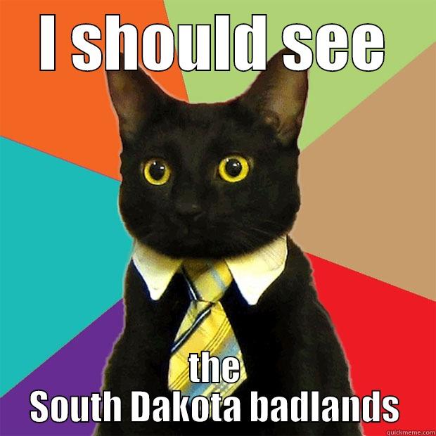 I SHOULD SEE THE SOUTH DAKOTA BADLANDS Business Cat