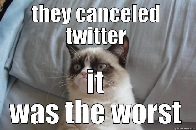 they canceled twitter it  was the worst - THEY CANCELED TWITTER IT WAS THE WORST Grumpy Cat