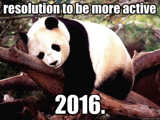 resolution to be more active 2016.  Procrastination Panda