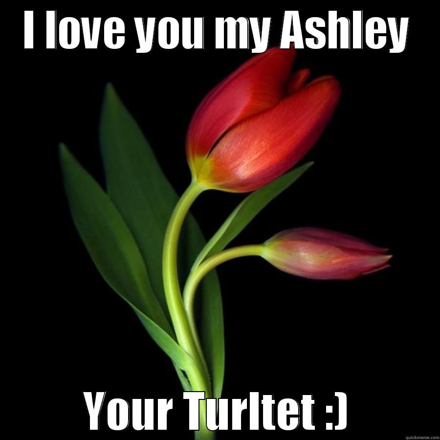 I LOVE YOU MY ASHLEY YOUR TURLTET :) Misc