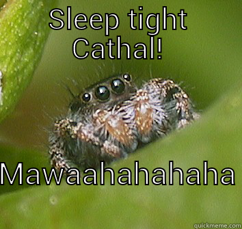 SLEEP TIGHT CATHAL! MAWAAHAHAHAHA Misunderstood Spider