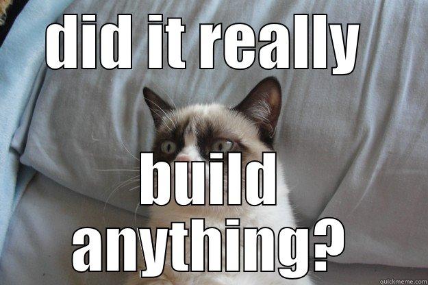 DID IT REALLY  BUILD ANYTHING? Grumpy Cat