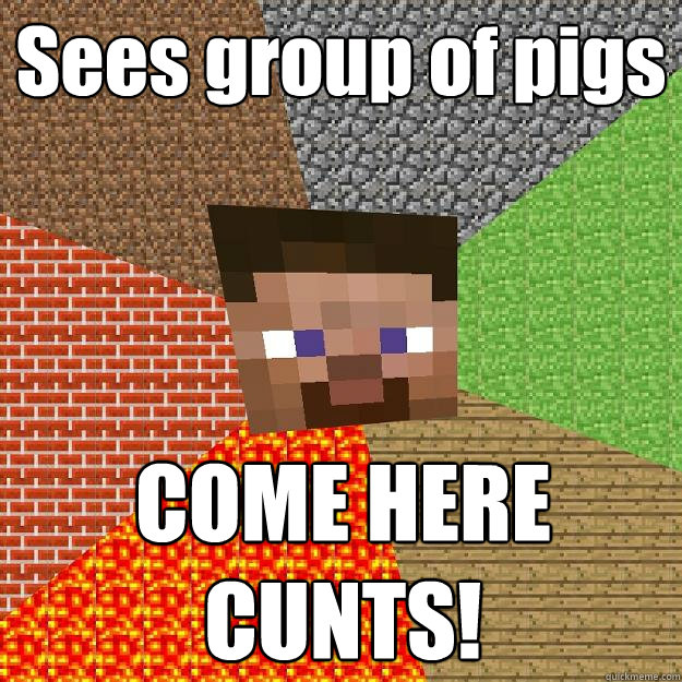Sees group of pigs
 COME HERE CUNTS! - Sees group of pigs
 COME HERE CUNTS!  Minecraft