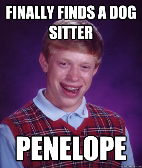 Finally finds a dog sitter  penelope - Finally finds a dog sitter  penelope  Bad Luck Brian