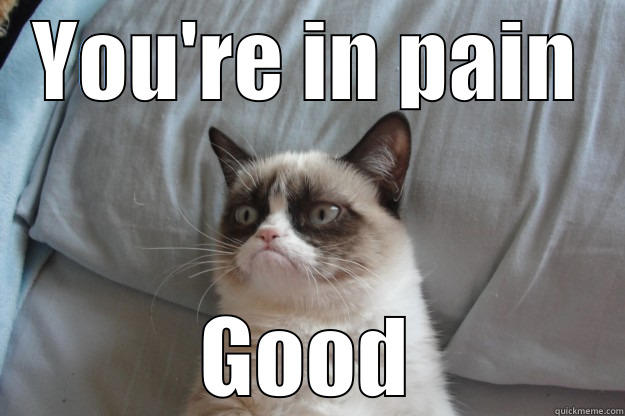 YOU'RE IN PAIN GOOD Grumpy Cat