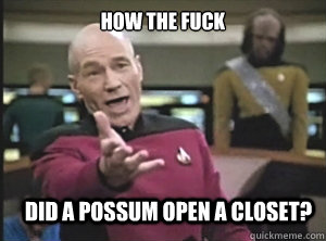 How the fuck Did a possum open a closet?  Annoyed Picard