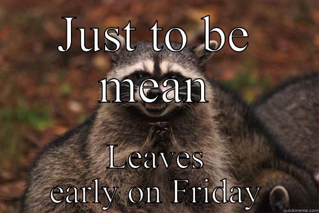 JUST TO BE MEAN LEAVES EARLY ON FRIDAY Evil Plotting Raccoon