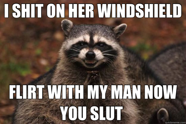 I SHIT ON HER WINDSHIELD FLIRT WITH MY MAN NOW YOU SLUT  - I SHIT ON HER WINDSHIELD FLIRT WITH MY MAN NOW YOU SLUT   Evil Plotting Raccoon