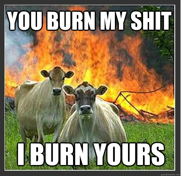 You burn my shit I burn yours  Evil cows