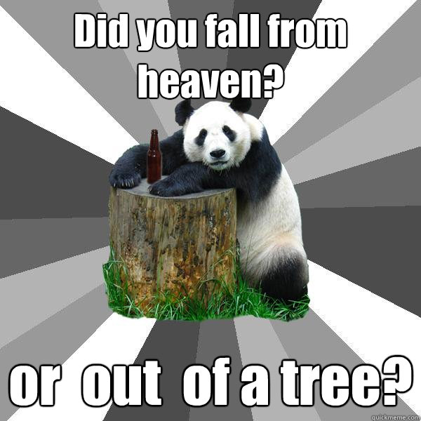 Did you fall from heaven? or  out  of a tree?  Pickup-Line Panda