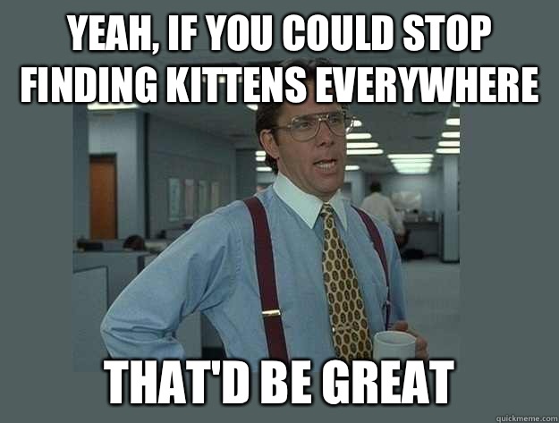 Yeah, if you could stop finding kittens everywhere That'd be great  Office Space Lumbergh