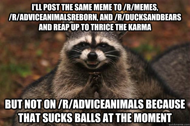 I'll post the same meme to /r/memes, /r/adviceanimalsreborn, and /r/ducksandbears and reap up to thrice the karma but not on /r/adviceanimals because that sucks balls at the moment  Evil Plotting Raccoon