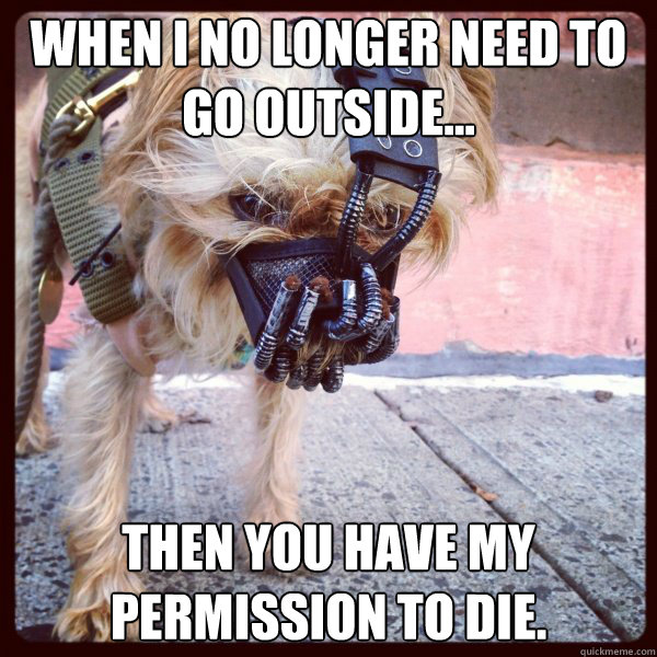 When I no longer need to go outside... then you have my permission to die.  