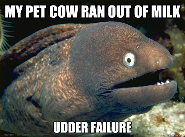 my pet cow ran out of milk udder failure - my pet cow ran out of milk udder failure  Bad Joke Eel