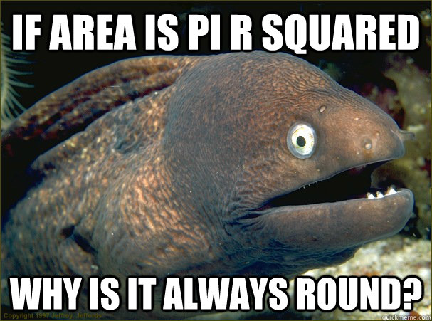 If area is pi r squared why is it always round?  Bad Joke Eel