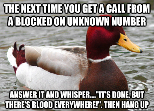 The next time you get a call from a blocked on unknown number answer it and whisper....