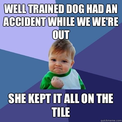 Well trained dog had an accident while we we're out She kept it all on the tile - Well trained dog had an accident while we we're out She kept it all on the tile  Success Kid