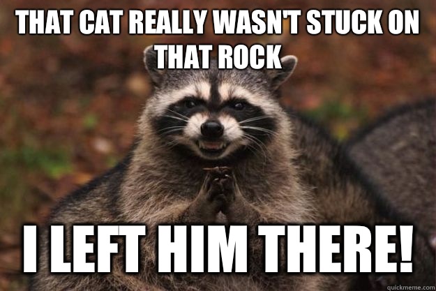 That cat really wasn't stuck on that rock I left him there!  Evil Plotting Raccoon