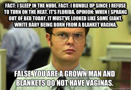 Fact: I sleep in the nude. Fact: I bundle up since I refuse to turn on the heat. It's Florida. Opinion: When I sprang out of bed today, it must've looked like some giant, white baby being born from a blanket vagina. False. You are a grown man and blankets  Dwight