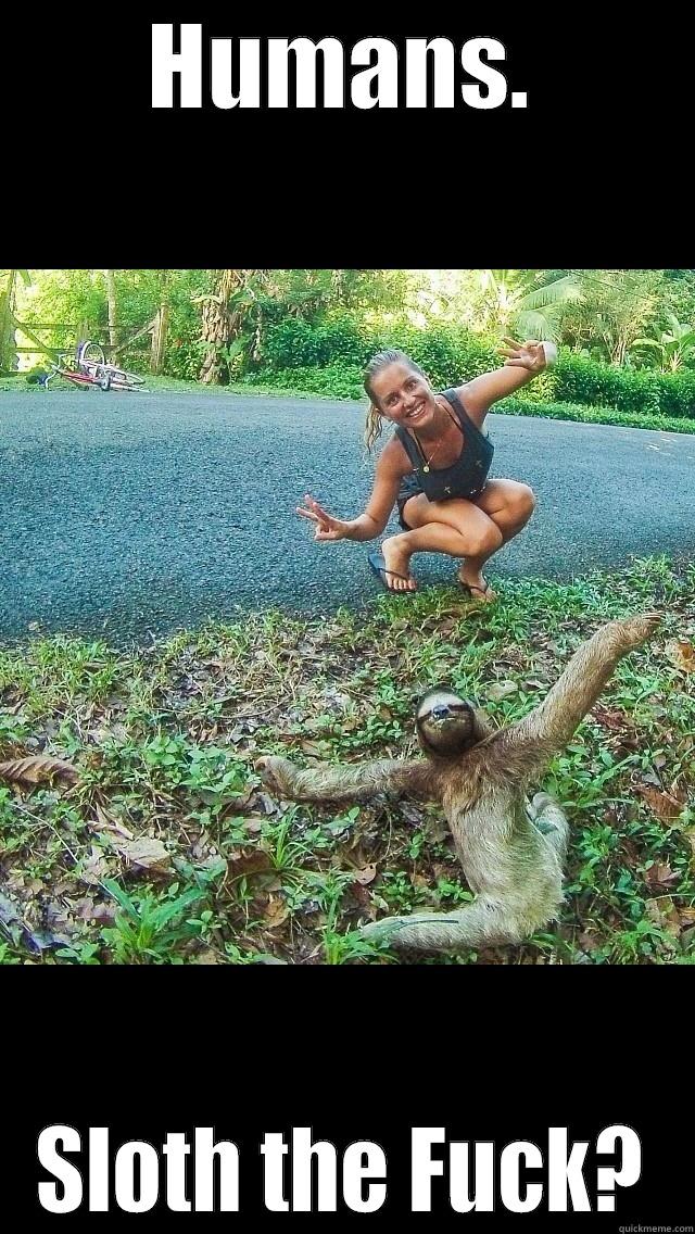 HUMANS. SLOTH THE FUCK? Misc