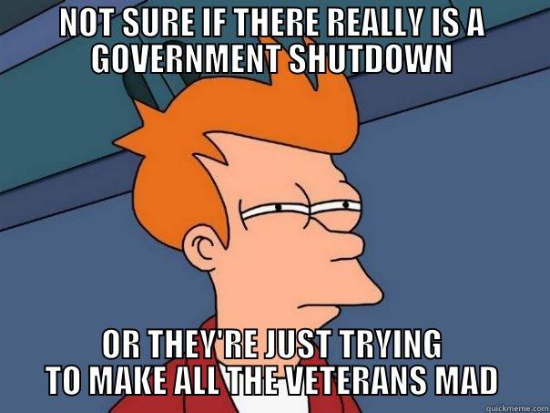 NOT SURE IF THERE REALLY IS A GOVERNMENT SHUTDOWN OR THEY'RE JUST TRYING TO MAKE ALL THE VETERANS MAD Futurama Fry