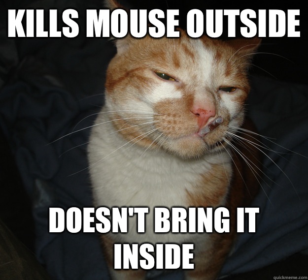 Kills mouse outside Doesn't bring it inside - Kills mouse outside Doesn't bring it inside  Good Guy Cat