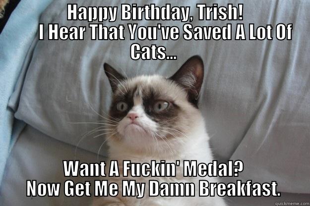 Happy Birthday! -                    HAPPY BIRTHDAY, TRISH!                          I HEAR THAT YOU'VE SAVED A LOT OF CATS... WANT A FUCKIN' MEDAL? NOW GET ME MY DAMN BREAKFAST. Grumpy Cat