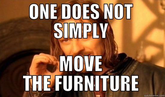 ONE DOES NOT SIMPLY MOVE THE FURNITURE Boromir