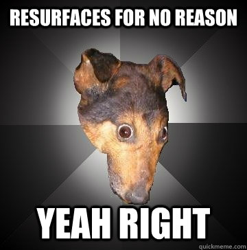 RESURFACES FOR NO REASON YEAH RIGHT  Depression Dog