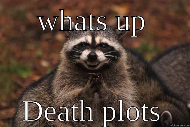 this is my friend he is trying to kill me - WHATS UP DEATH PLOTS Evil Plotting Raccoon