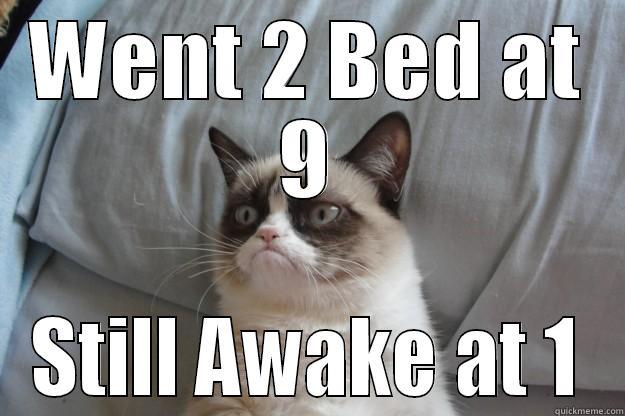 WENT 2 BED AT 9 STILL AWAKE AT 1 Grumpy Cat