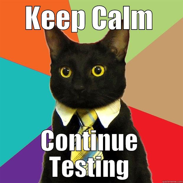 Keep Calm and Continue Testing - KEEP CALM CONTINUE TESTING Business Cat