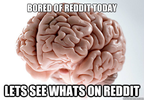 Bored of reddit today Lets see whats on reddit  Scumbag Brain