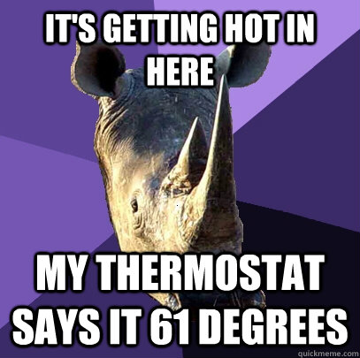 It's getting hot in here my thermostat says it 61 degrees  Sexually Oblivious Rhino