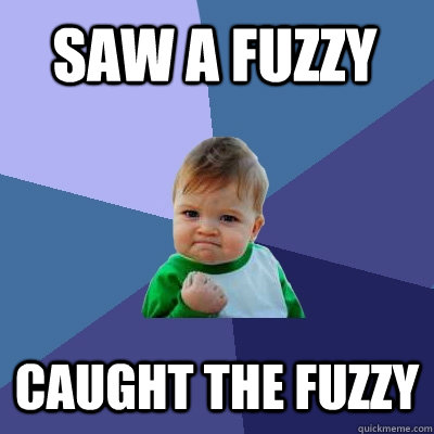 Saw a fuzzy Caught the fuzzy  Success Kid