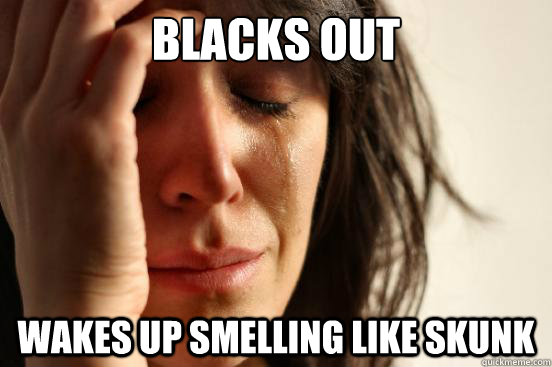 Blacks out wakes up smelling like skunk - Blacks out wakes up smelling like skunk  First World Problems