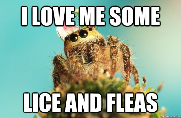 I love me some lice and fleas - I love me some lice and fleas  Rasta Spida