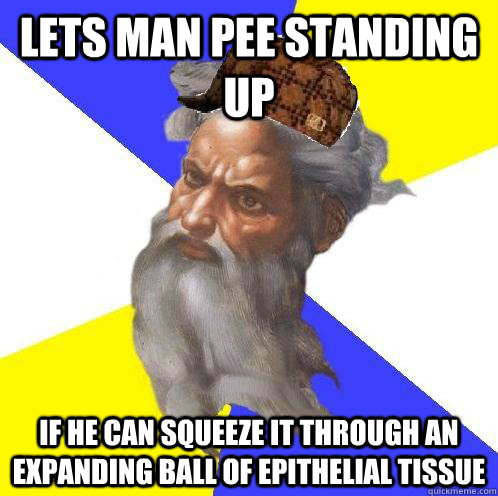 lets man pee standing up if he can squeeze it through an expanding ball of epithelial tissue  Scumbag God