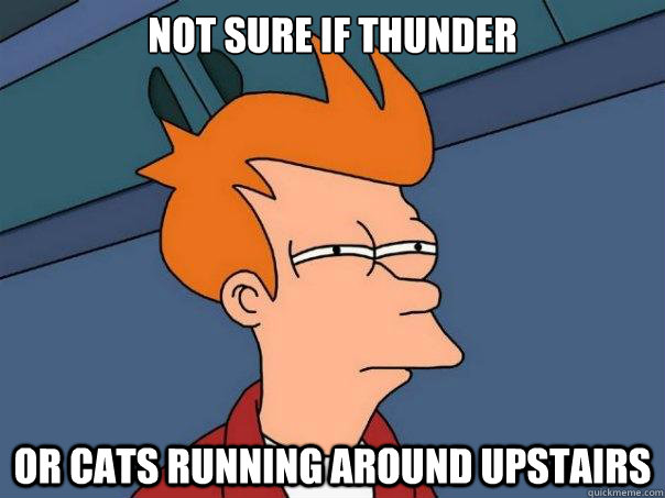 NOT SURE IF THUNDER OR CATS RUNNING AROUND UPSTAIRS - NOT SURE IF THUNDER OR CATS RUNNING AROUND UPSTAIRS  Futurama Fry