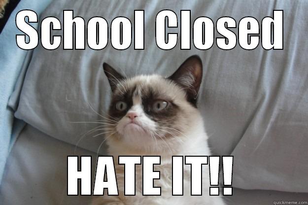 School Closed - SCHOOL CLOSED HATE IT!! Grumpy Cat