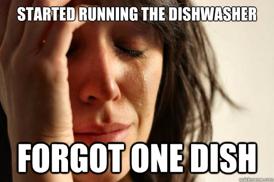 Started running the dishwasher Forgot one dish  First World Problems