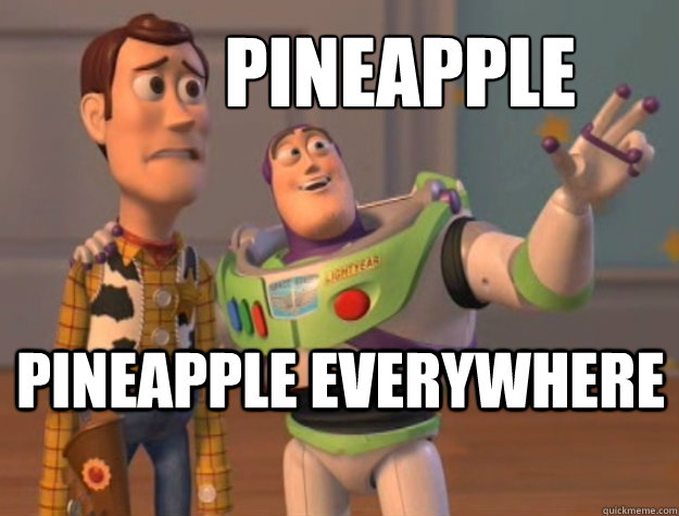 Pineapple Pineapple Everywhere   Toy Story