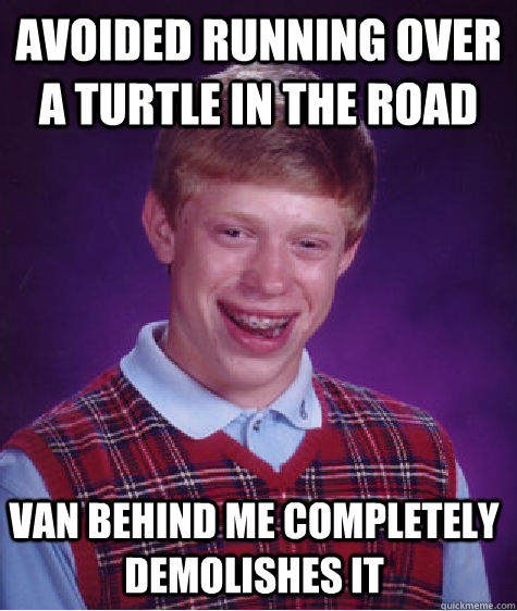 Avoided running over a turtle in the road Van behind me completely demolishes it  - Avoided running over a turtle in the road Van behind me completely demolishes it   Bad Luck Brian