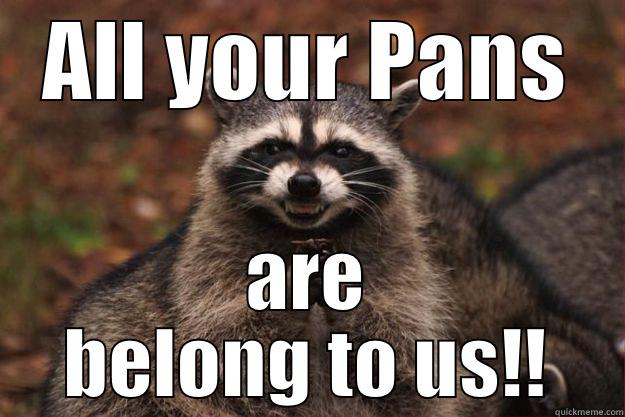 ALL YOUR PANS ARE BELONG TO US!! Evil Plotting Raccoon