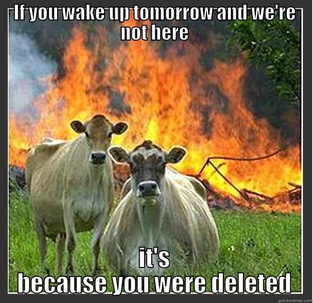 cows on fire - IF YOU WAKE UP TOMORROW AND WE'RE NOT HERE IT'S BECAUSE YOU WERE DELETED Evil cows